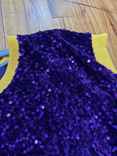 Sequin purple and gold top