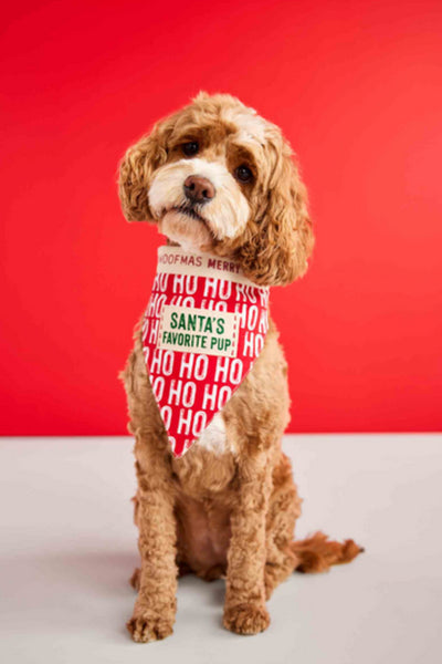 Reversible Dog Bandana