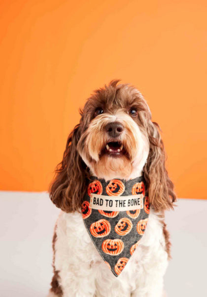 Pet Bandana