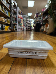 Leftover container small
