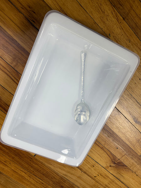 Leftover container large with spoon
